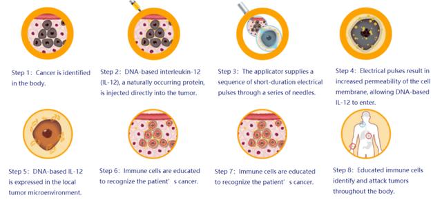 破解PD1耐药黑色素瘤治疗难题！远大医药给出创新方案