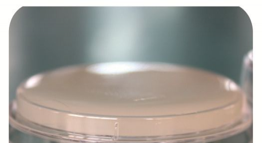 卵磷脂吐温胰蛋白胨大豆培养基（院感检测、物表监测、触蝶法）