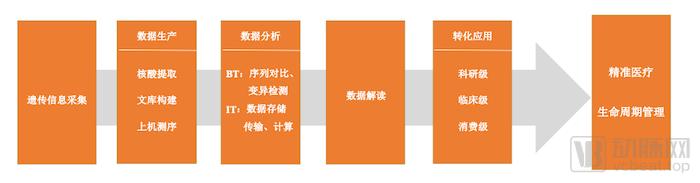 數據體量激增、商業(yè)探索初顯，基因檢測步入智能化時代？