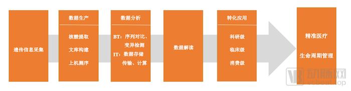 数据体量激增、商业探索初显，基因检测步入智能化时代？