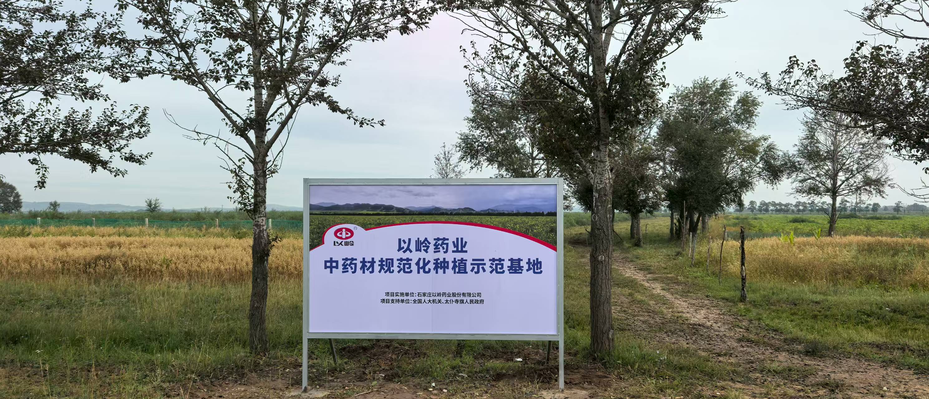 以岭药业“黄芪”药材再签新基地，助力乡村振兴